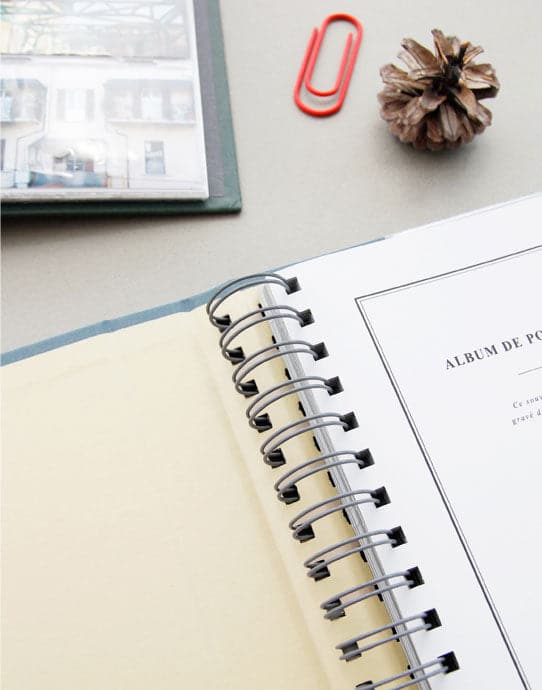 Iconic Album [Red] - Image 12